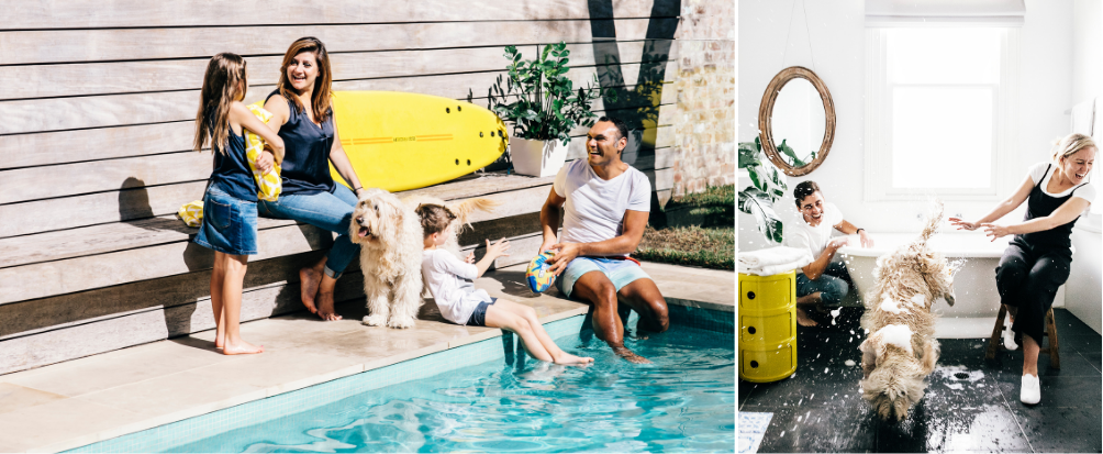 tenants wash their pet dog in bath and family take their pets swimming in the pool. 