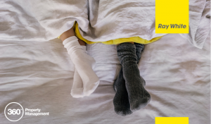 Ray White Healthy Homes Standards