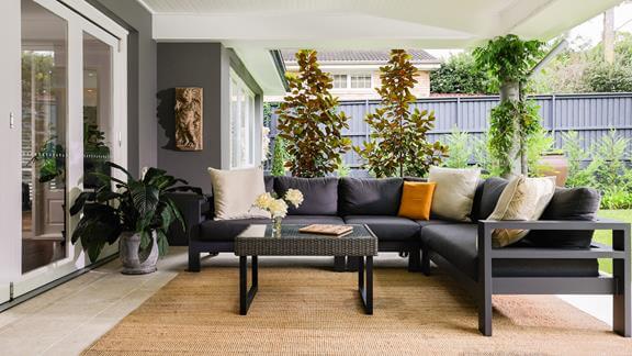 Healthy Homes on a Budget