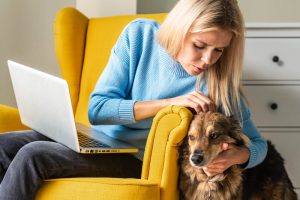 Top Pet Rental Mistakes Auckland Landlords Mak