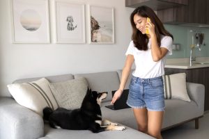 Handling Pet Complaints in Auckland Rentals | Noise & Safety Guide