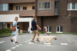 Pets in Auckland Apartments & Townhouses | Body Corporate Rules
