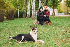 Big Dogs & Multiple Pets in Auckland Rentals | What’s Reasonable?